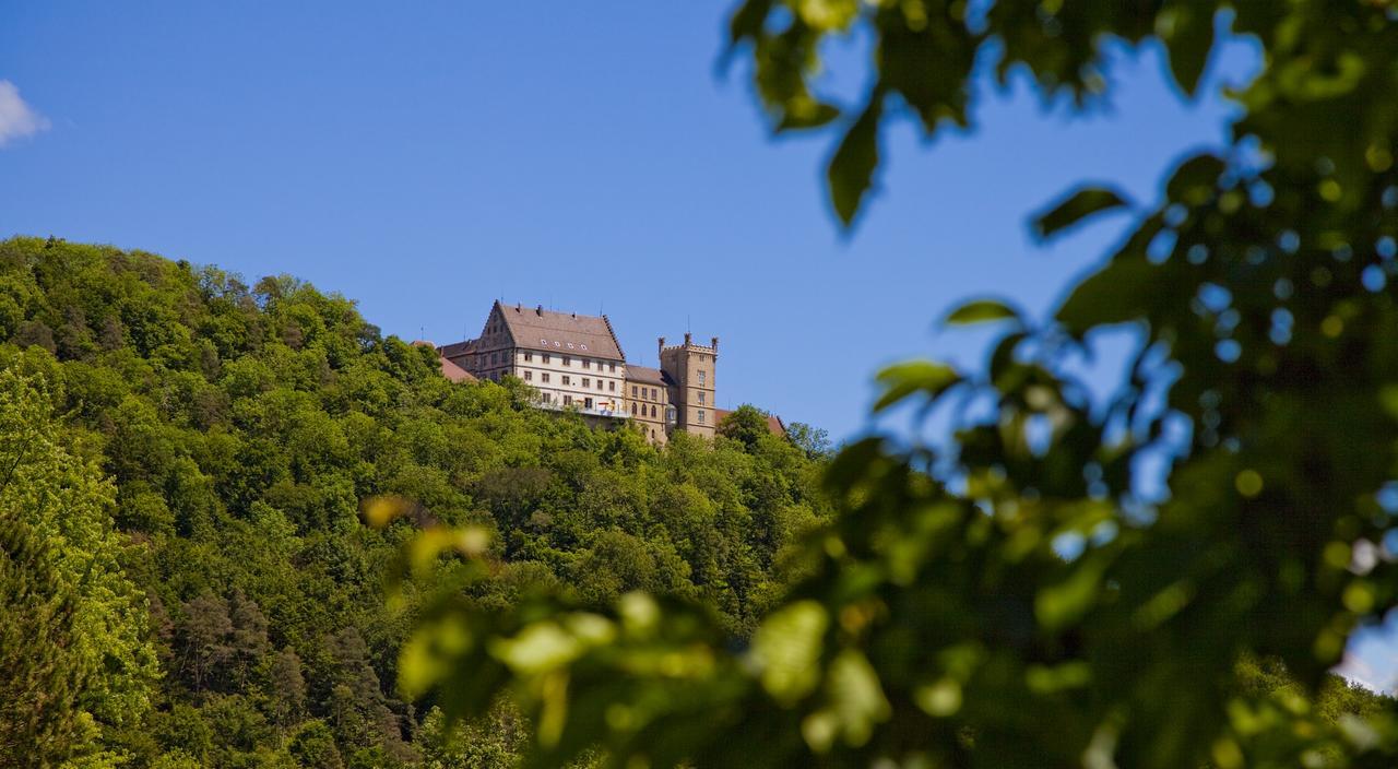 Schloss Weitenburg Starzach Kültér fotó